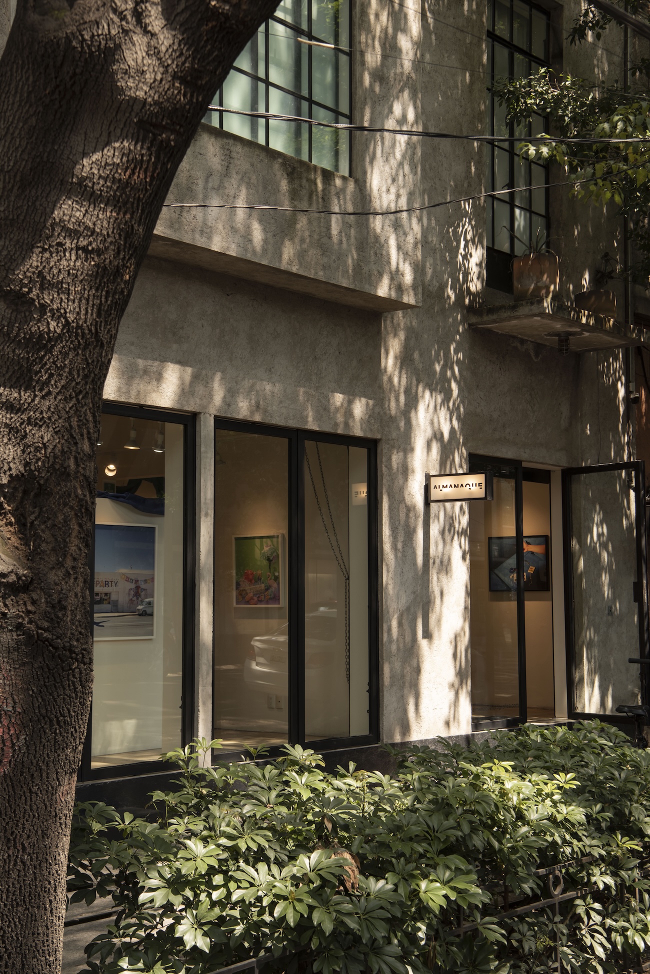 Roma Norte neighborhood near Pendry Residences Mexico City.