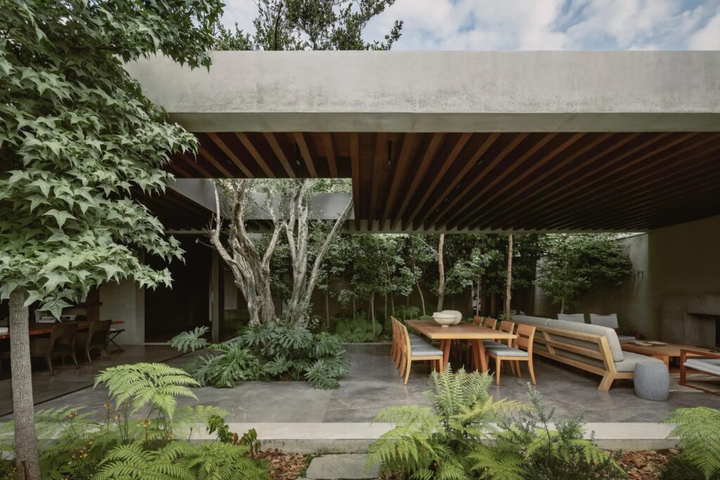 Outdoor seating area with lots of greenery