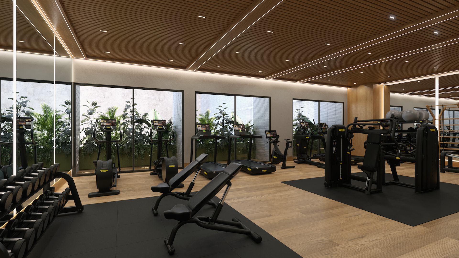 Gym