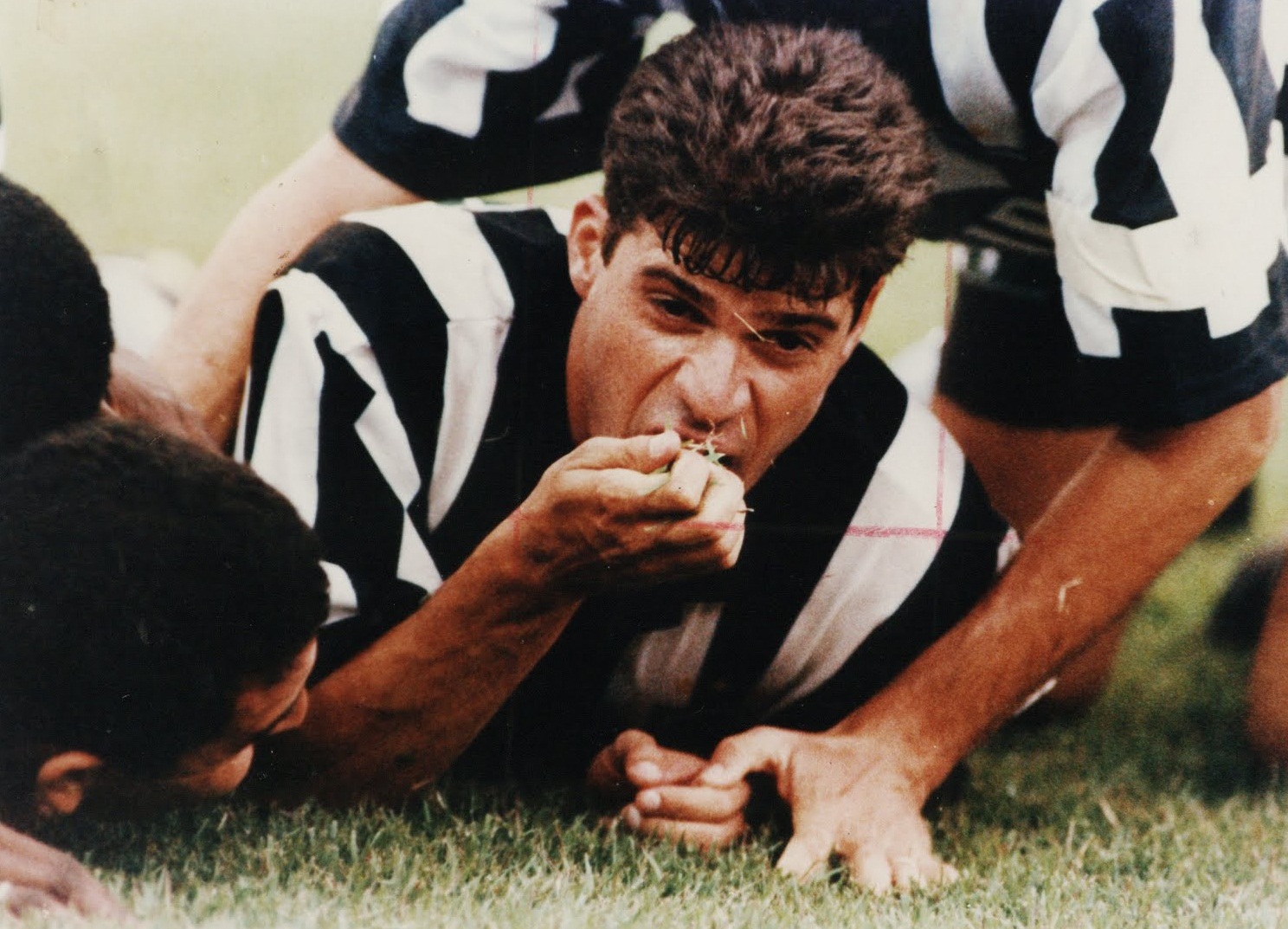 Um Pouco de Botafogo