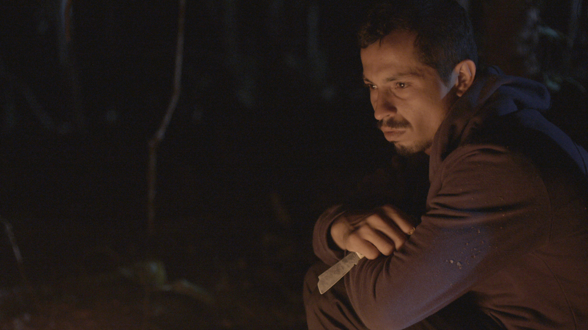 Arábia – quando o excesso de elogios pode ser contraproducente