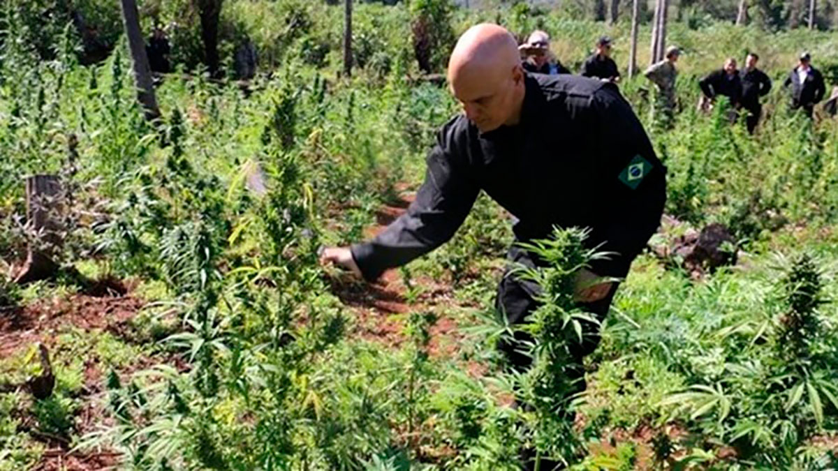 Com dólar beirando R$ 4,20, Alexandre de Moraes é escalado para cortar a moeda