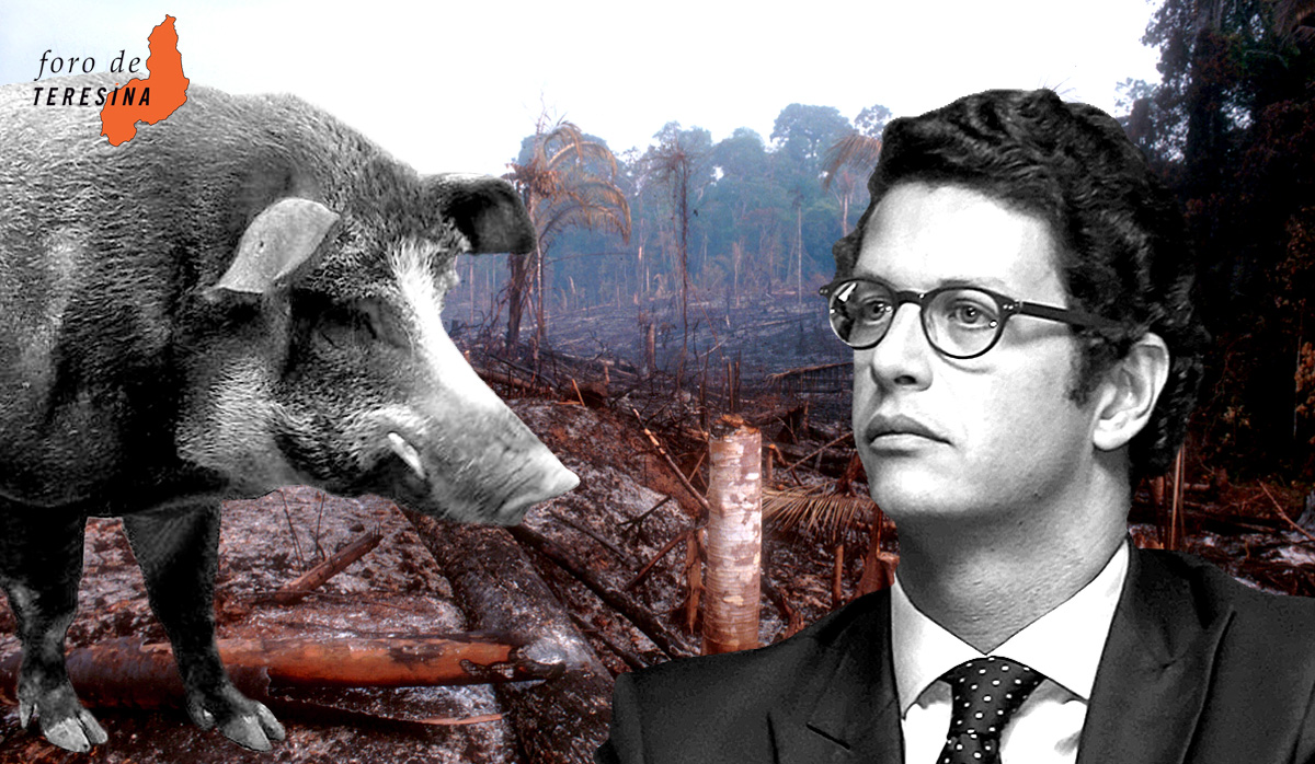 Foro de Teresina #31: O escândalo do motorista, o antiministro do Meio Ambiente e o barraco do PSL