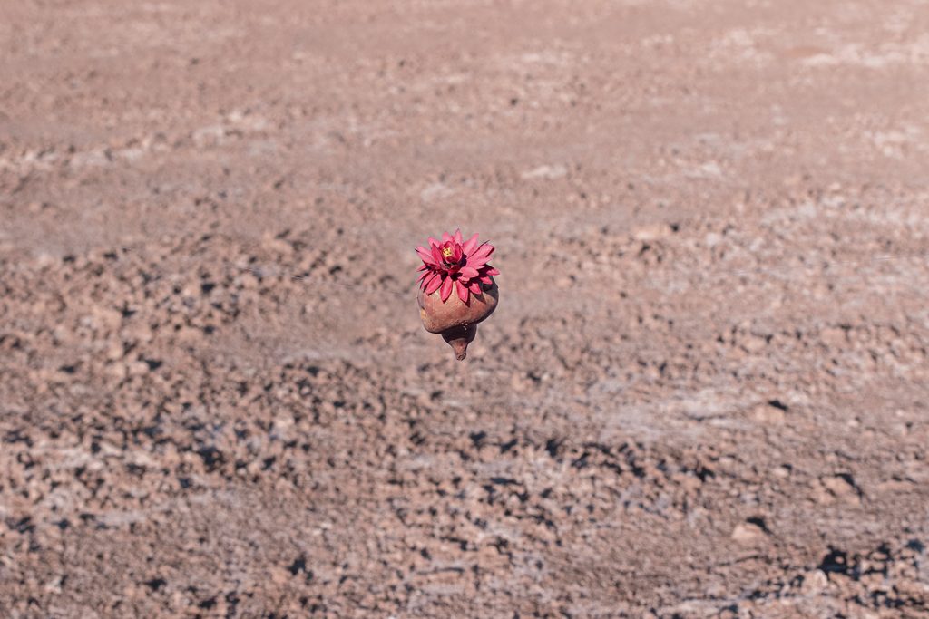 O pequeno planeta no meio do deserto, em San Cristóbal