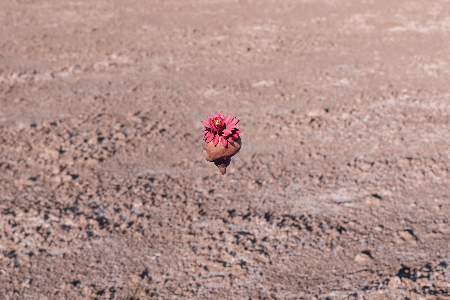 O pequeno planeta no meio do deserto, em San Cristóbal