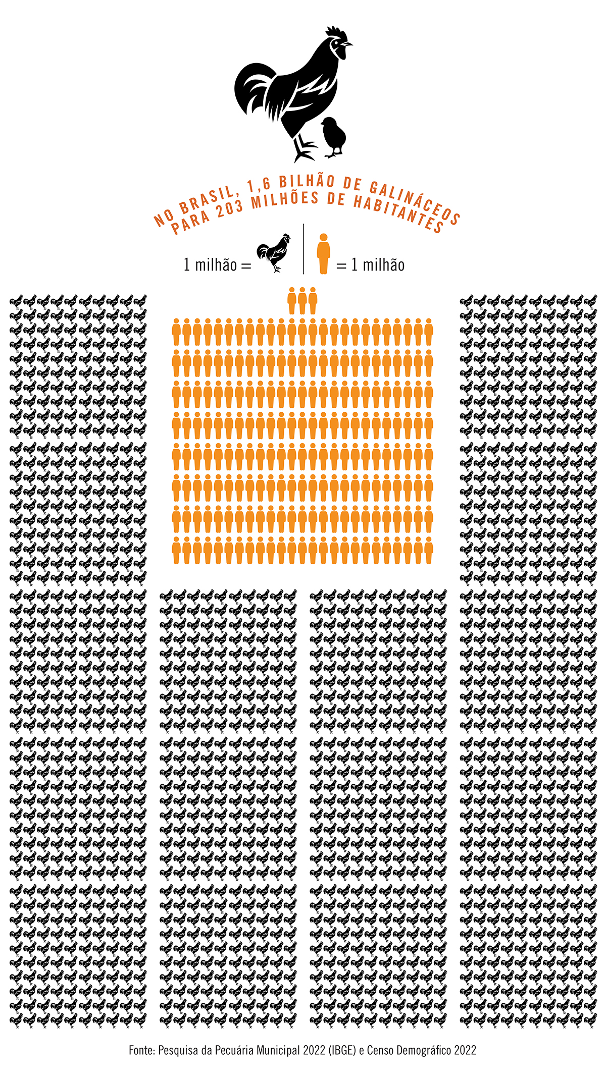 Em Cascavel, no Paraná, para cada habitante há 60 galináceos