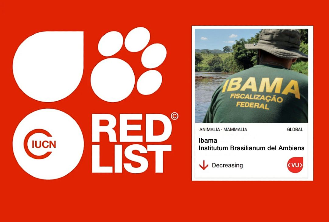 Caçado por Lula e Bolsonaro, Ibama entra para lista de espécies ameaçadas