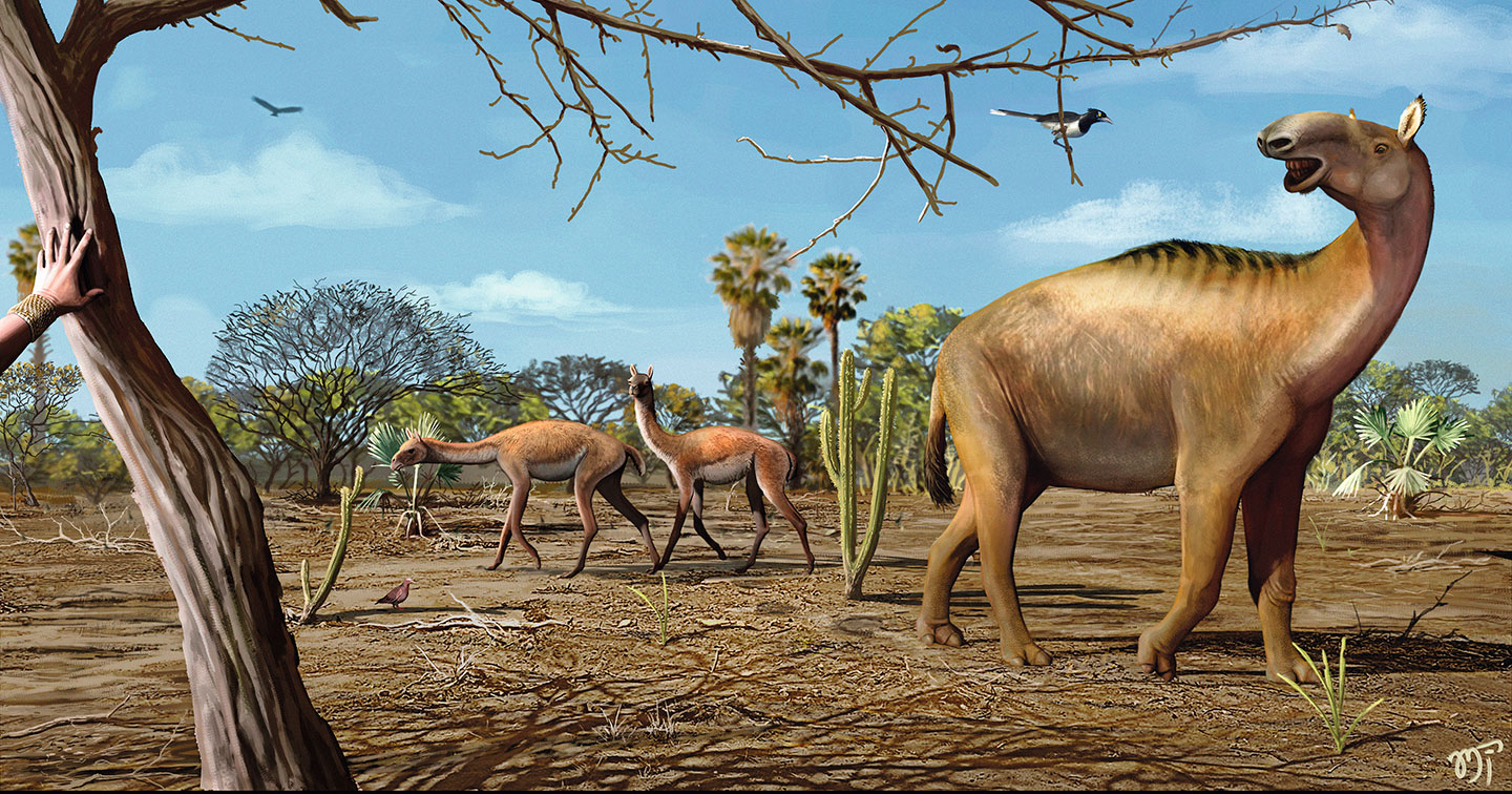 O ocaso dos gigantes