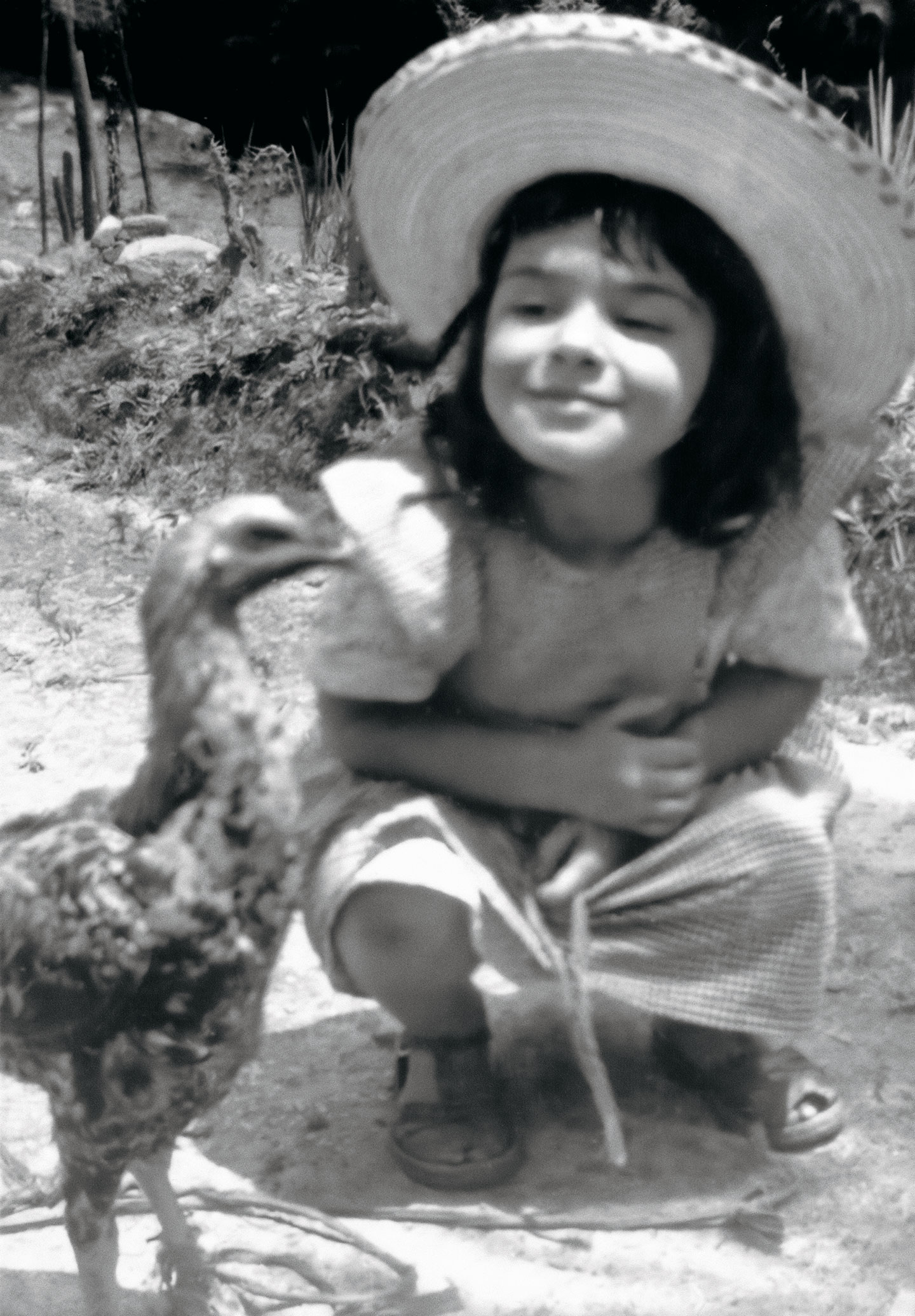 Uma companhia incômoda