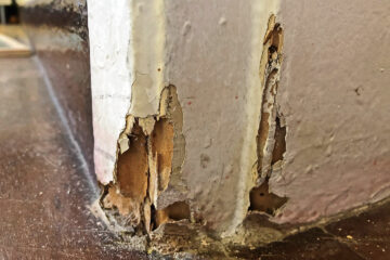 O caminho para a obsolescência