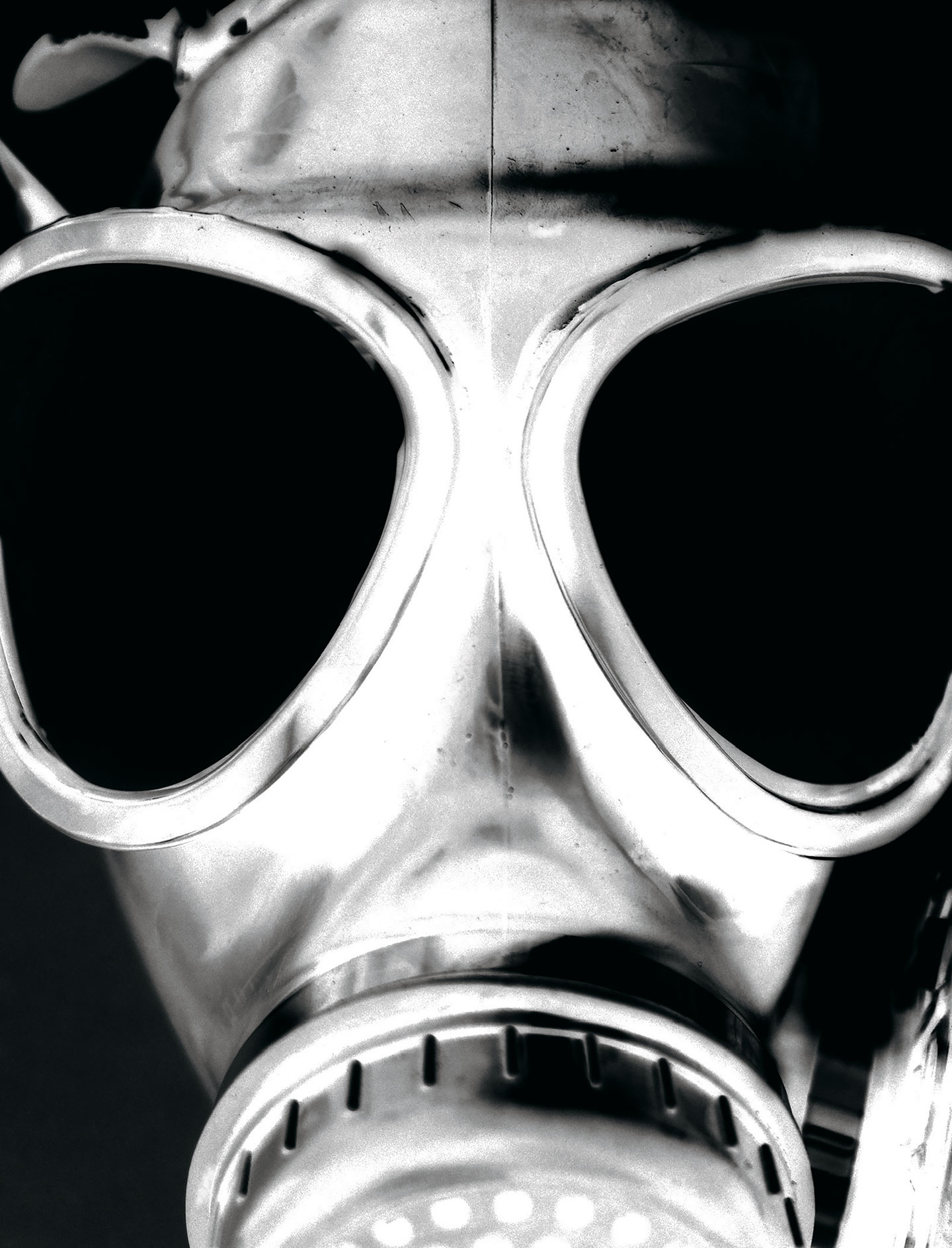 Sociedade para a morte