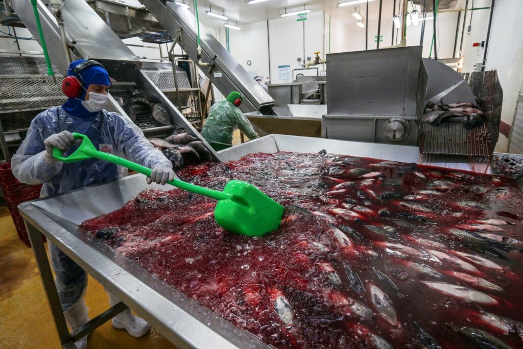 Small towns, big damage