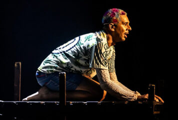 A tartaruga e o colonialismo