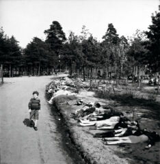 O dilema da decência em uma sociedade indecente