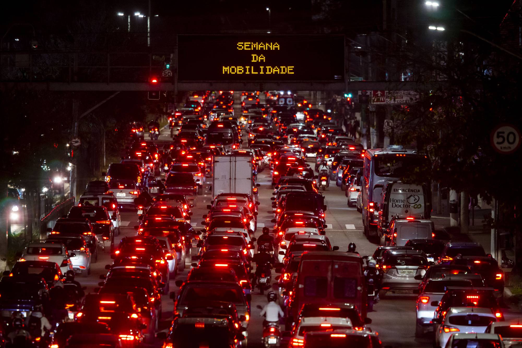 Por uma selva de pedra sustentável