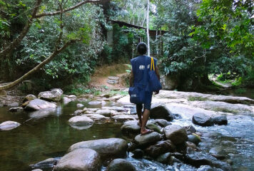 A longa espera pelos microdados do IBGE