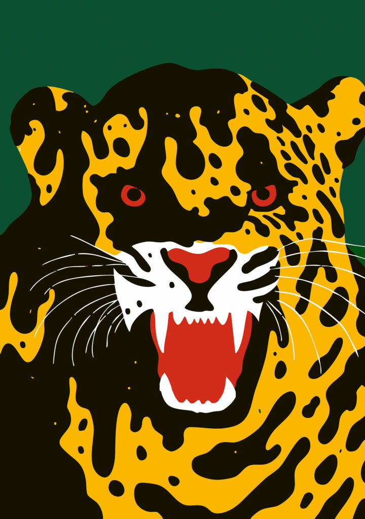 Procura-se um líder