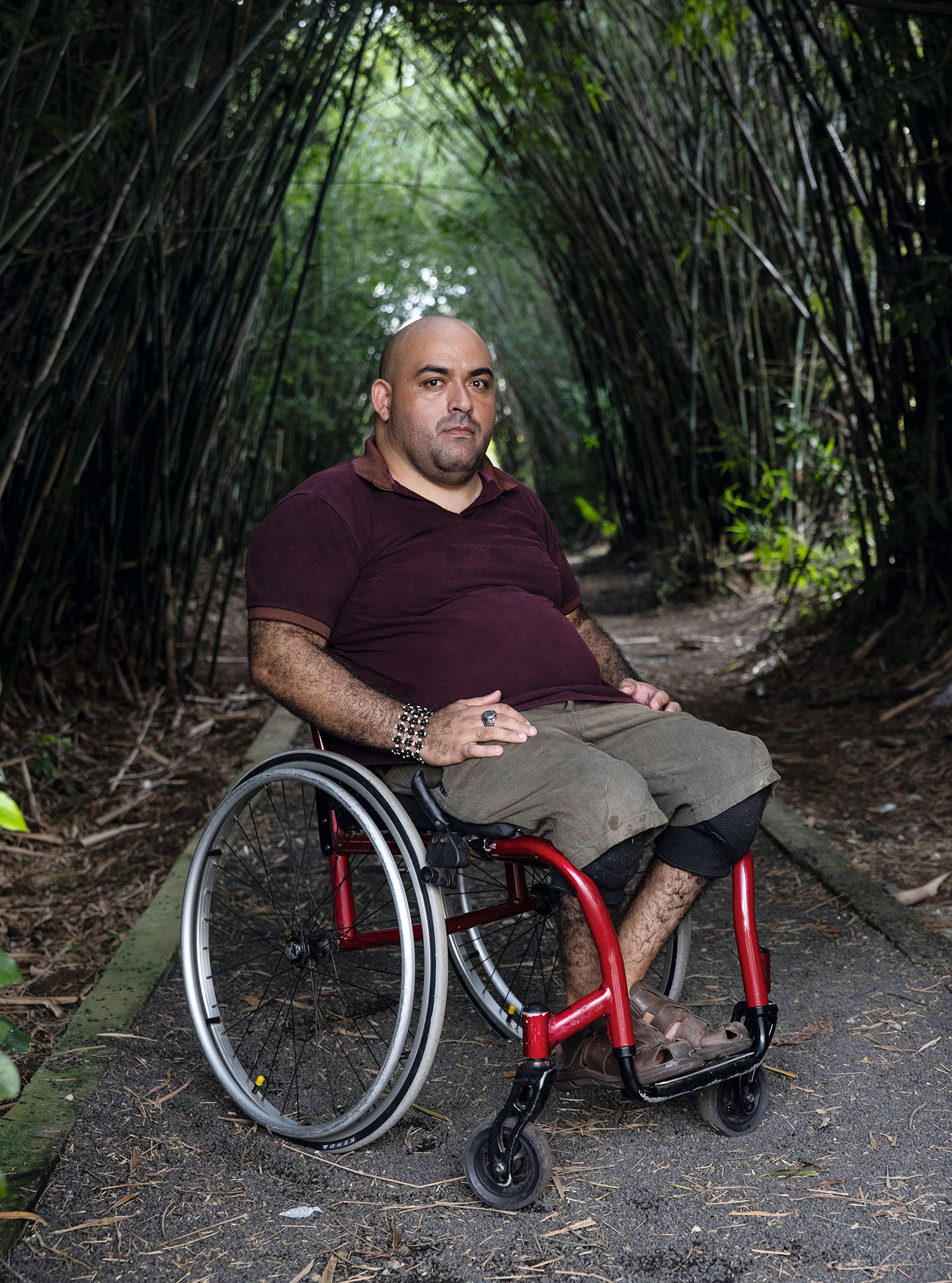 Geração democracia: Parte VII_A floresta e a obra