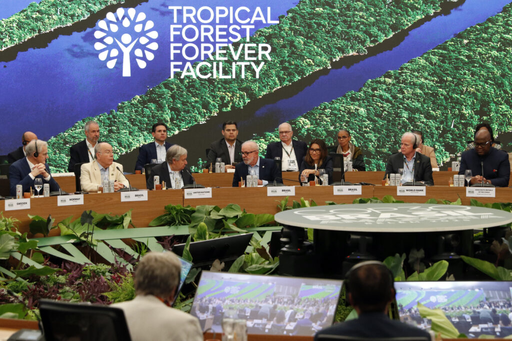 O caminho do dinheiro para a floresta