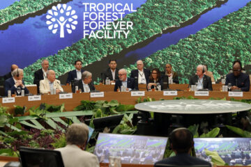 O caminho do dinheiro para a floresta