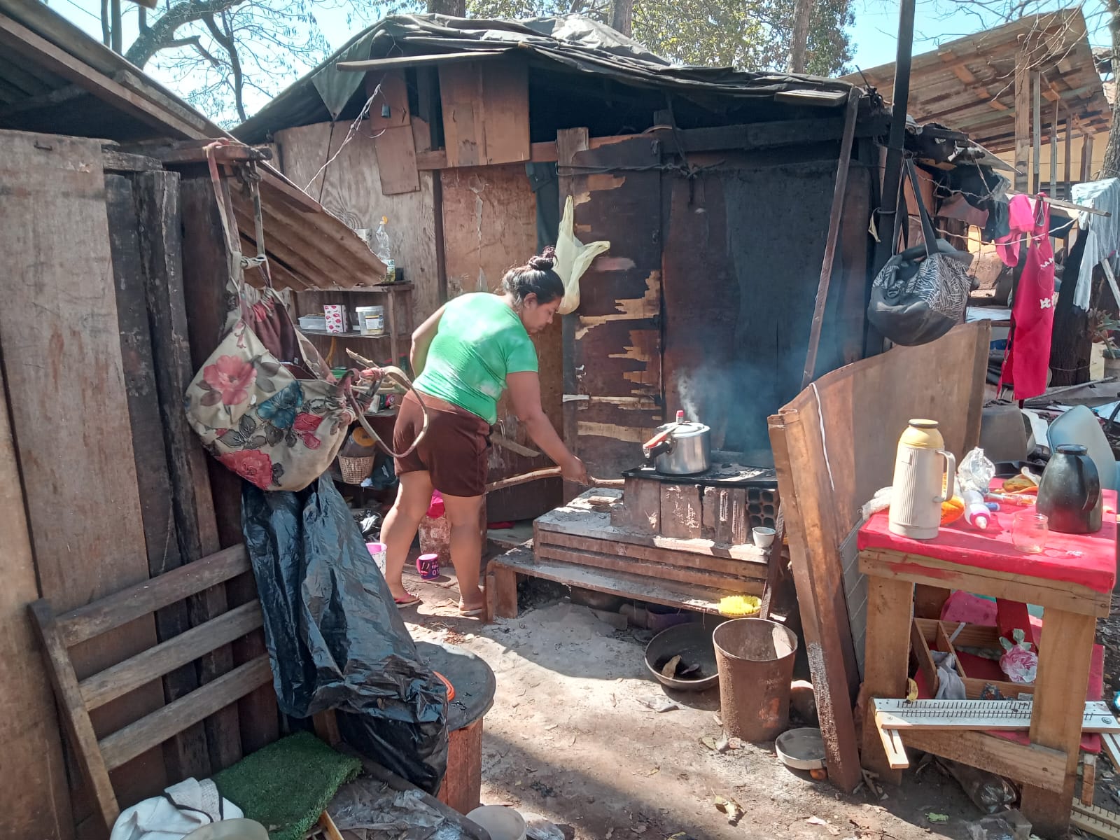 Um novo olhar dos trópicos