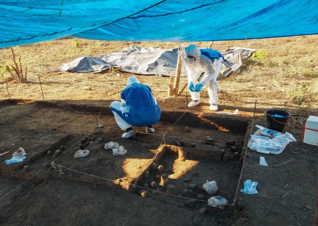 O que faz um geneticista na conferência do clima?