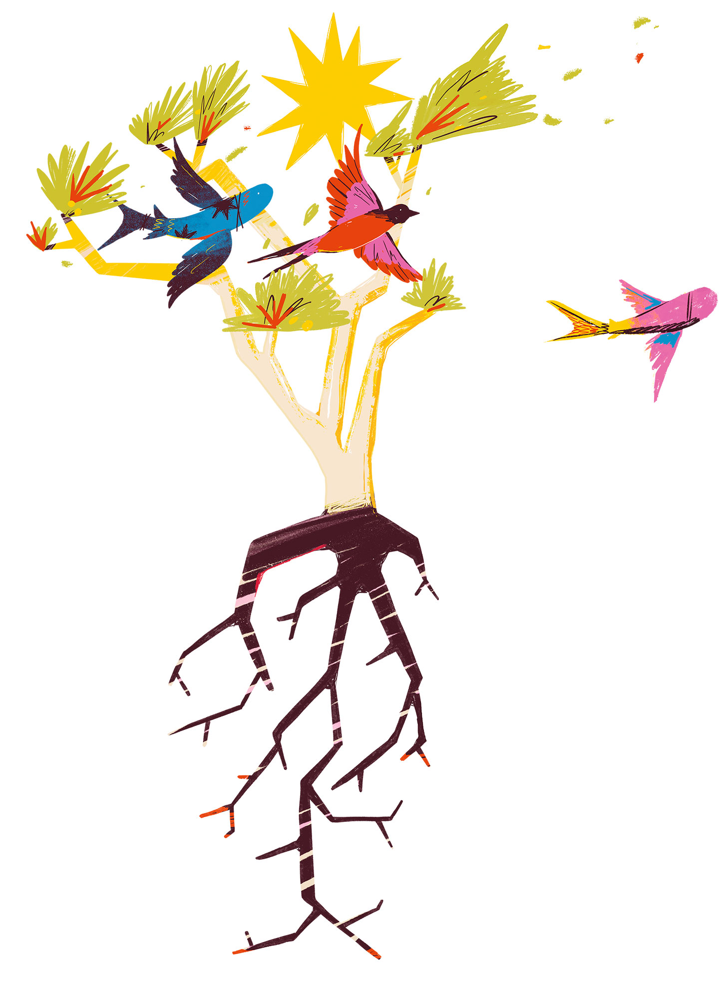 Calor guardado no vento me impressiona