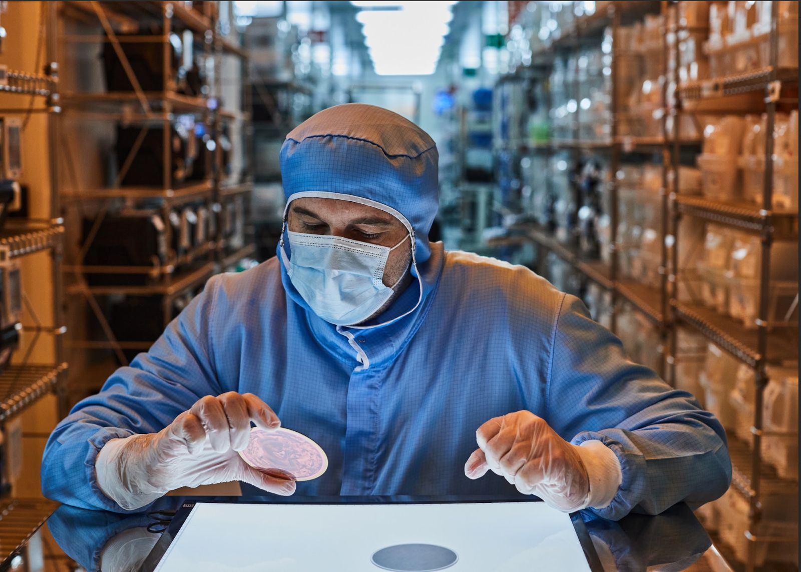 Arquivar a vida na era do colapso