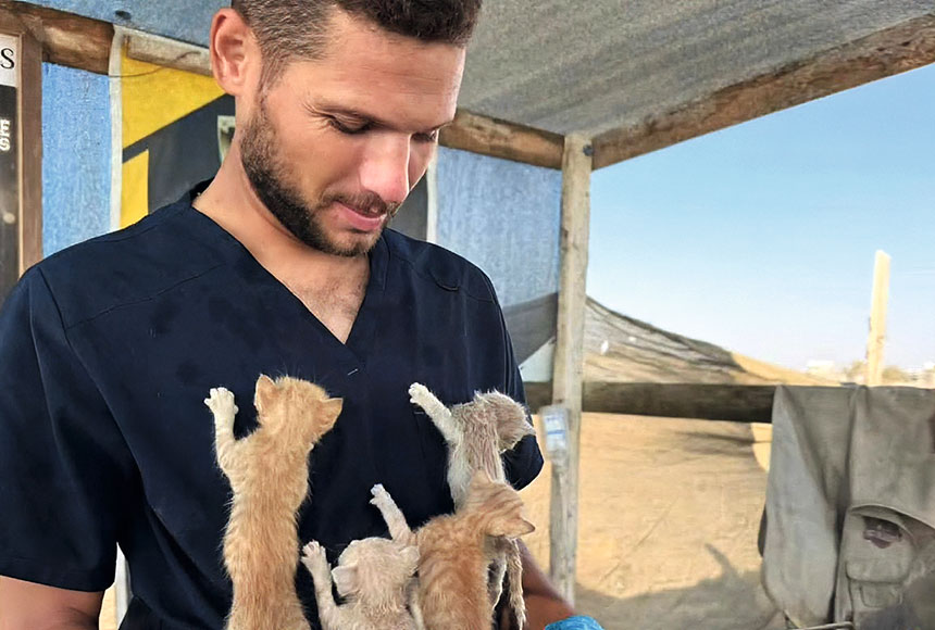 Um veterinário assassinado na Faixa de Gaza