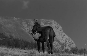Celebrando documentários