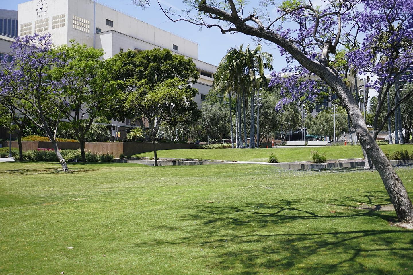 Grand Park, photo 3
