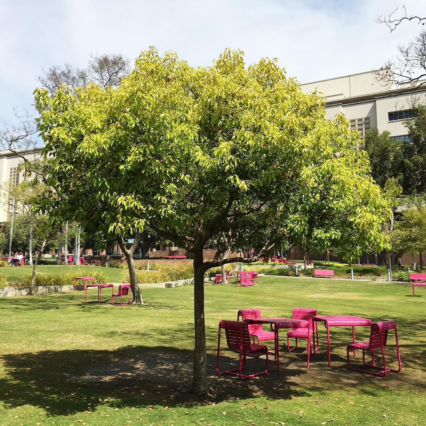 Grand Park, photo 4