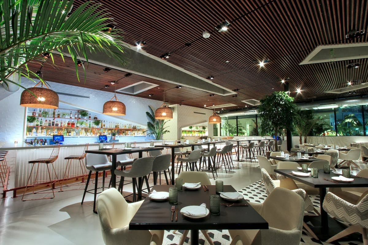 PLANTA South Beach, photo 6