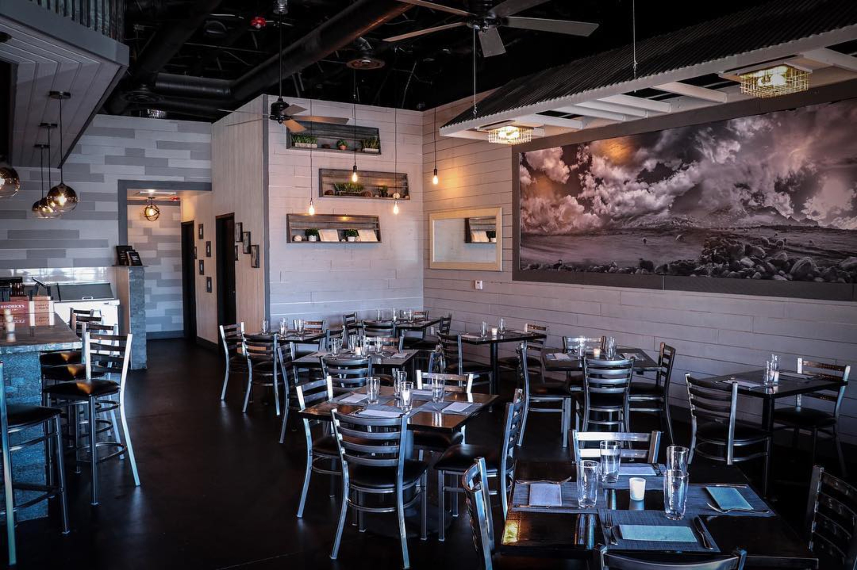 The Black Sheep, photo 4