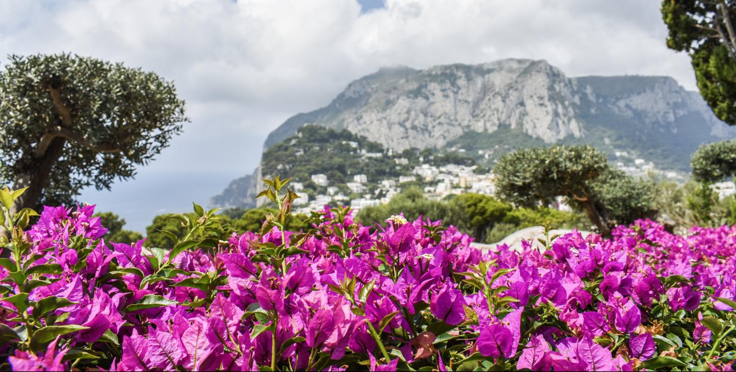 Scenic views along the Amalfi Coast in Italy captured on a summer teen tour.