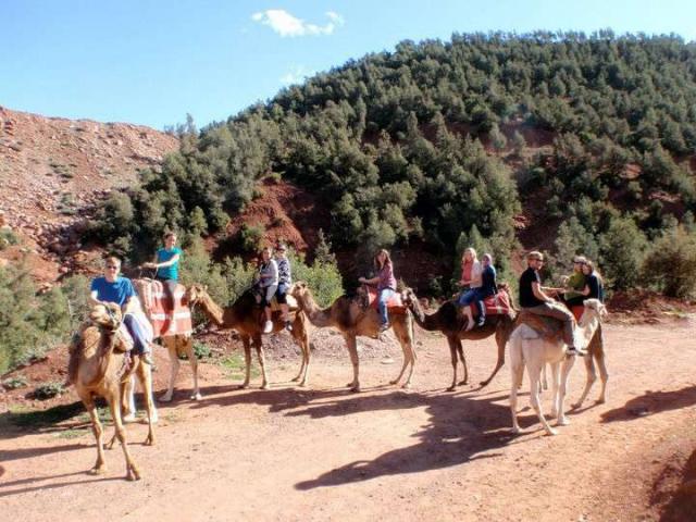 Teens riding camels on a summer tour in Morocco