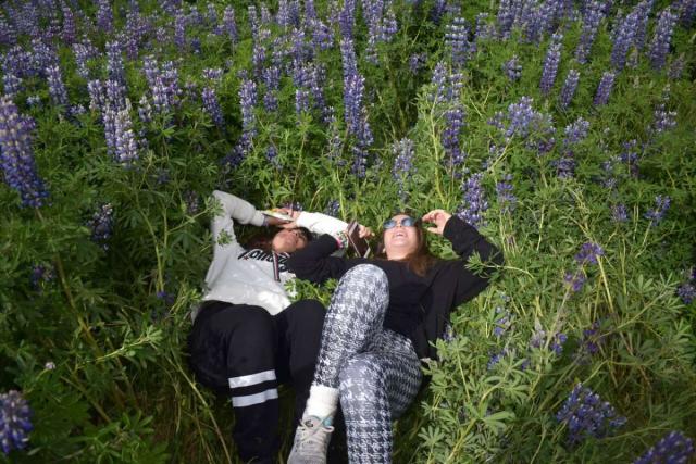 Teen travelers with purple Iceland flowers during summer travel adventure program