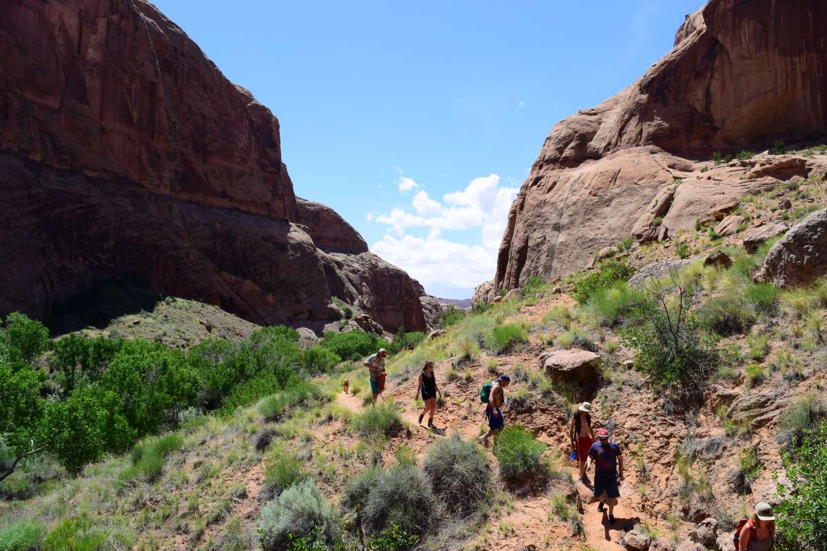 Real lesbian amateur feet tubes