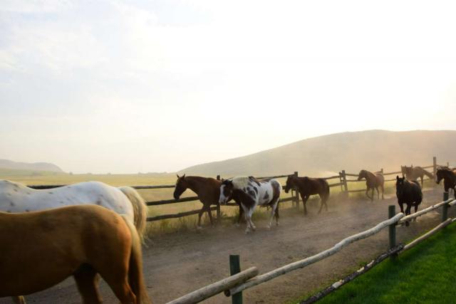 High School Programs in Canada - Travel For Teens