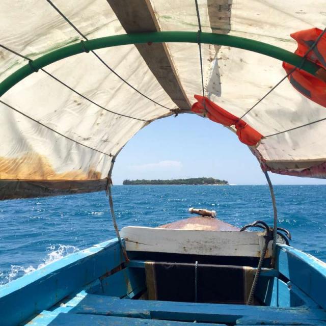 Students travel by boat to Prison Island in Zanzibar on their summer travel tour of Tanzania.