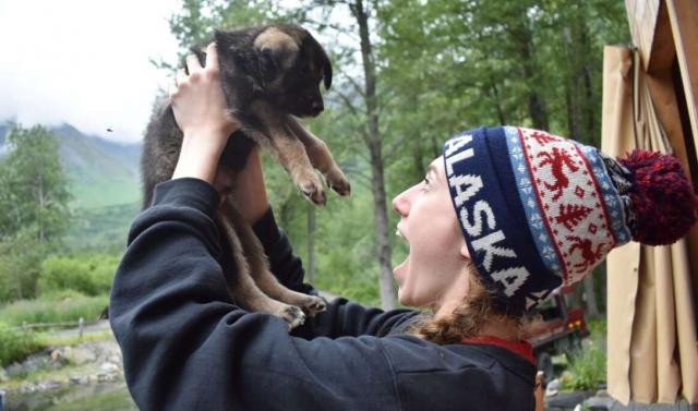 Teen traveler with Iditarod puppy on Alaska summer youth program