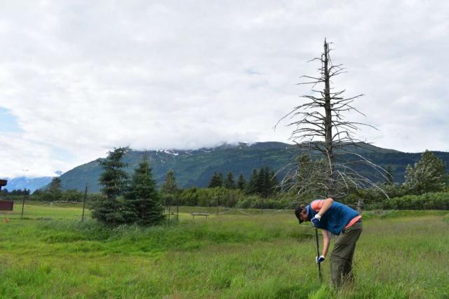 Teen traveler doing community service in Alaska on summer youth program