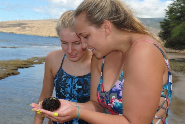 Teens admire a sea urchin on their summer tour program in North America.