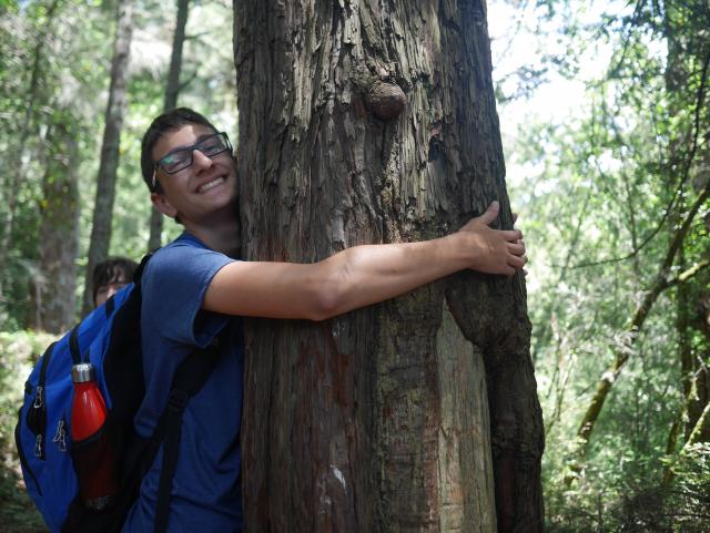 A teen hugs a tree during their summer adventure program in North America.