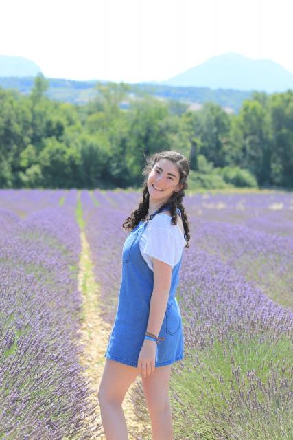 Aix de Provence France lavendar