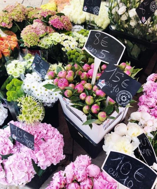 Market Flowers Aix en Provance