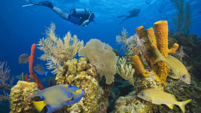 4 explore the reefs of Belize