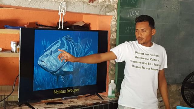 6 fish identification lesson