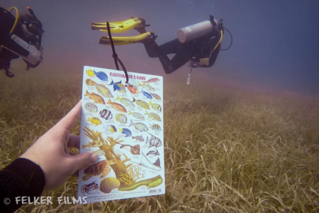 DCIM100GOPROG0123810.