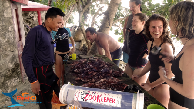 10 invasive lionfish dissection and analysis